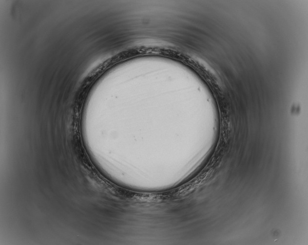 X0000101230775200807251133