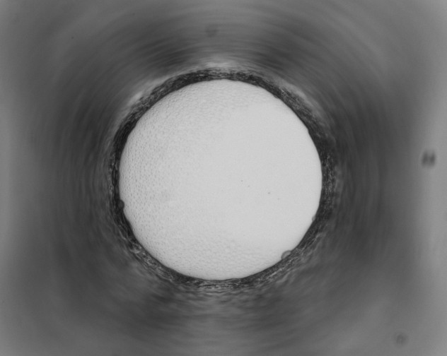 X0000101230776200807251133