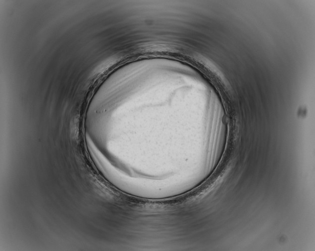 X0000101230777200807251133