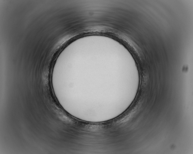 X0000101230778200807251133
