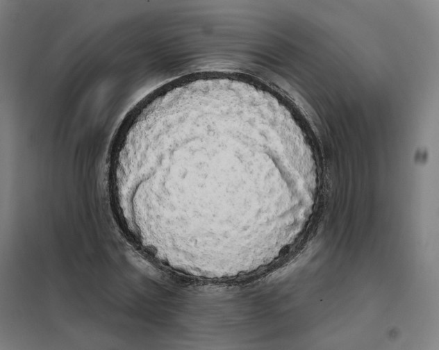 X0000101230779200807251133