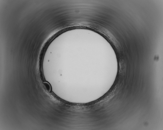 X0000101230780200807251133