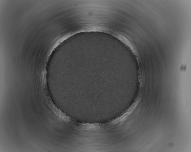 X0000101230781200807251133