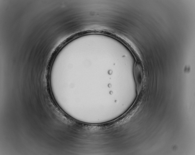X0000101230783200807251133