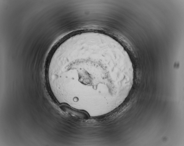 X0000101230784200807251133