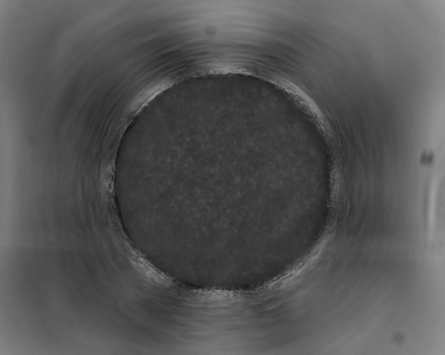 X0000101230785200807251133