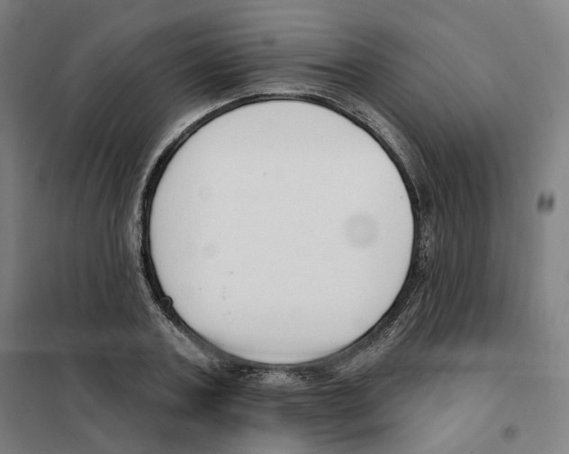 X0000101230787200807251133