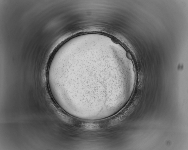 X0000101230789200807251133