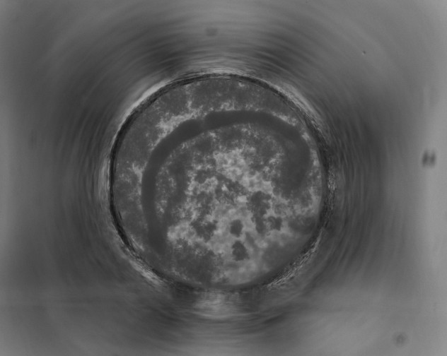 X0000101230790200807251133