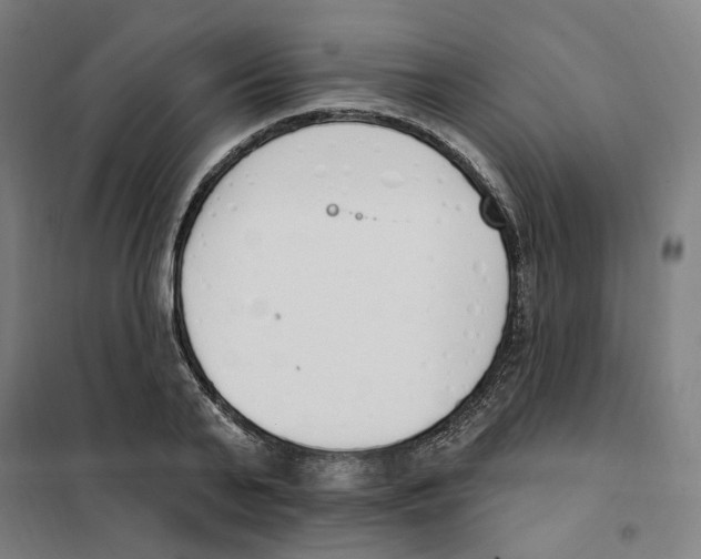 X0000101230791200807251133