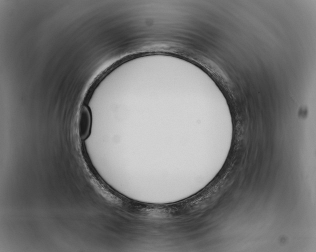 X0000101230792200807251133
