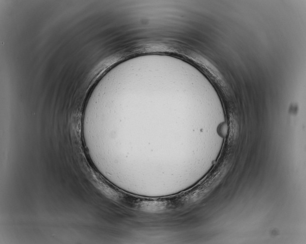 X0000101230793200807251133