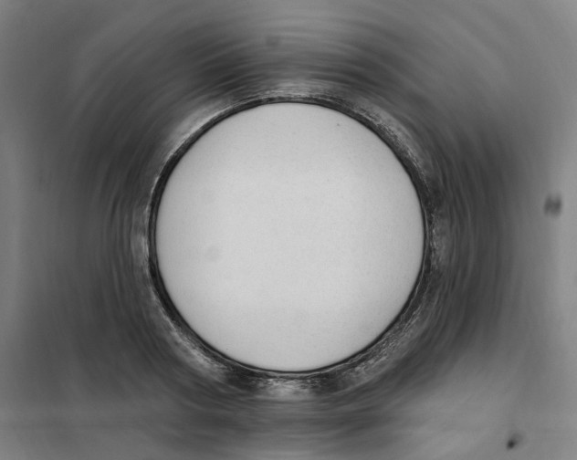 X0000101230794200807251133