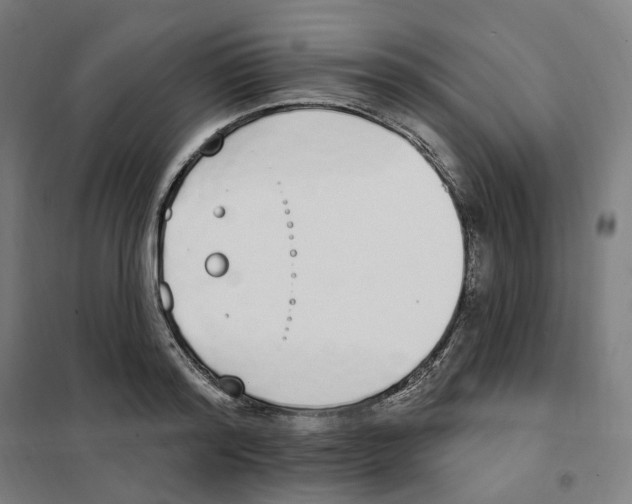 X0000101230796200807251133