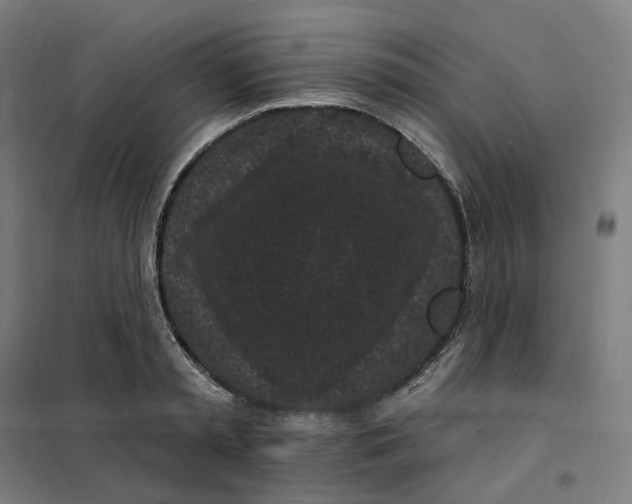 X0000101230797200807251133