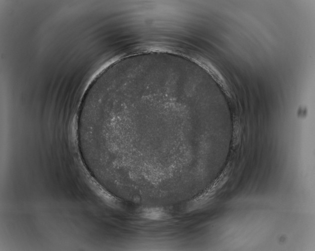 X0000101230798200807251133