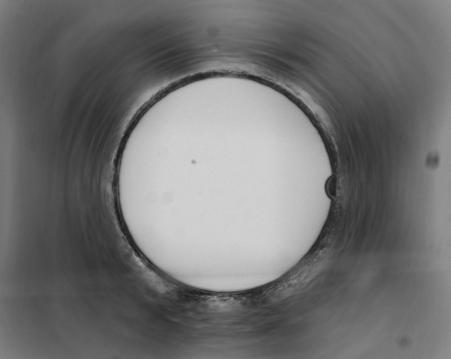 X0000101230799200807251133