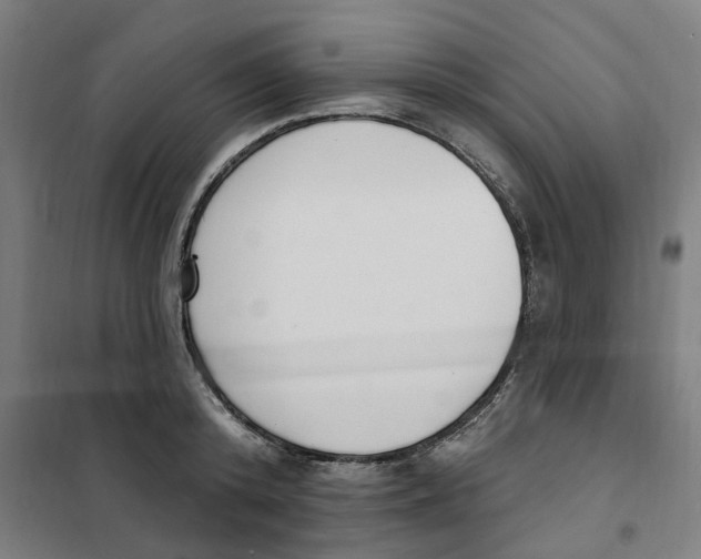 X0000101230800200807251133