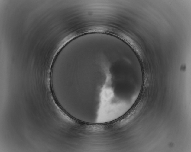 X0000101230802200807251133