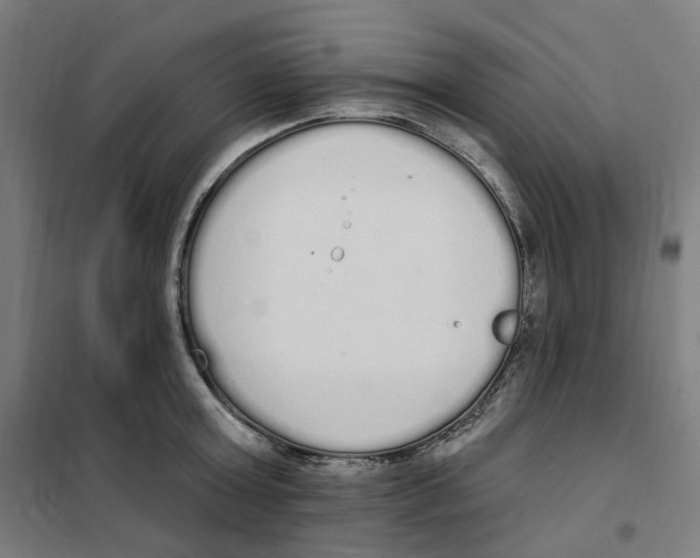 X0000101230803200807251133