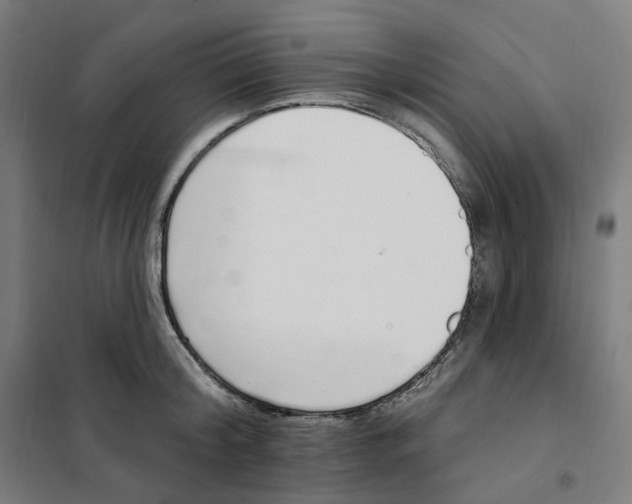 X0000101230804200807251133