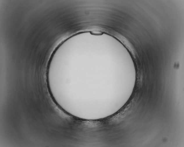 X0000101230805200807251133