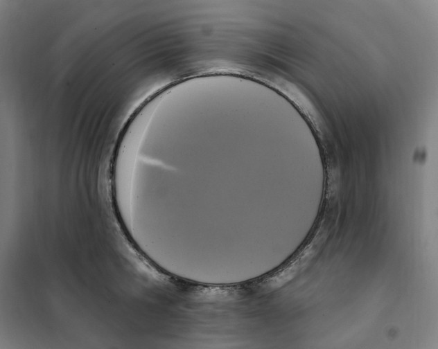 X0000101230806200807251133