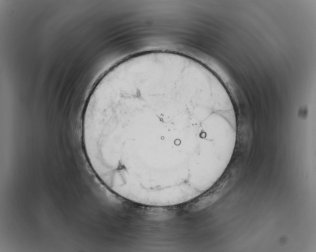 X0000101230807200807251133