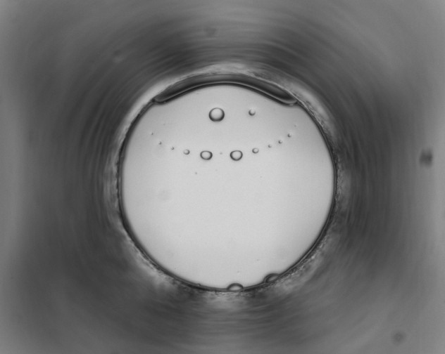 X0000101230808200807251133