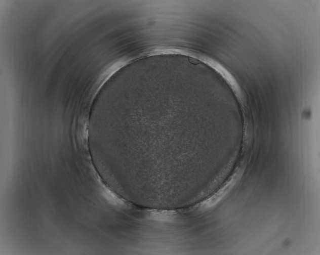 X0000101230809200807251133