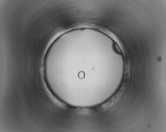 X0000101230811200807251133