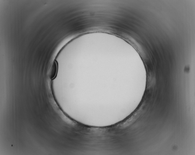X0000101230812200807251133