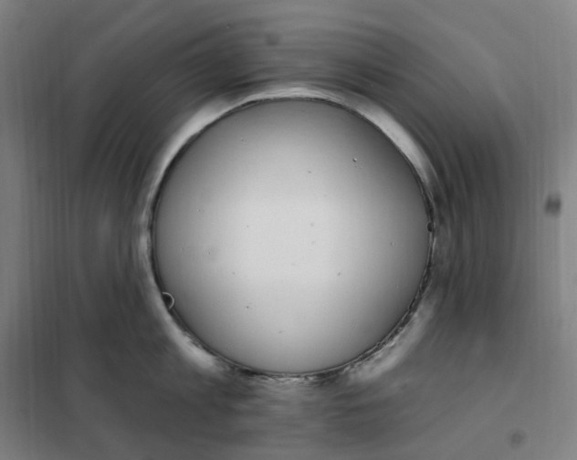 X0000101230813200807251133