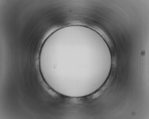 X0000101230814200807251133