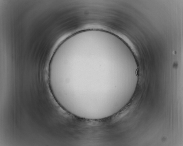 X0000101230815200807251133