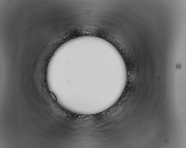 X0000101230817200807251132