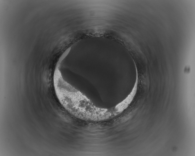 X0000101230818200807251132
