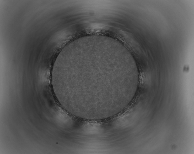X0000101230820200807251132