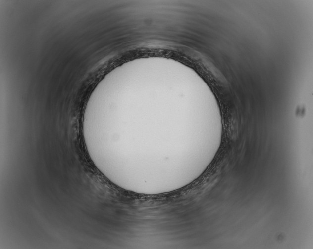 X0000101230821200807251132