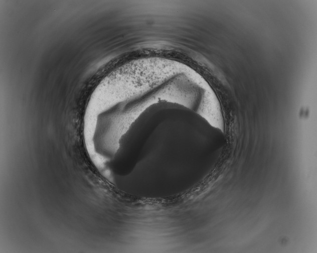 X0000101230822200807251132
