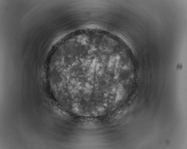 X0000101230823200807251132