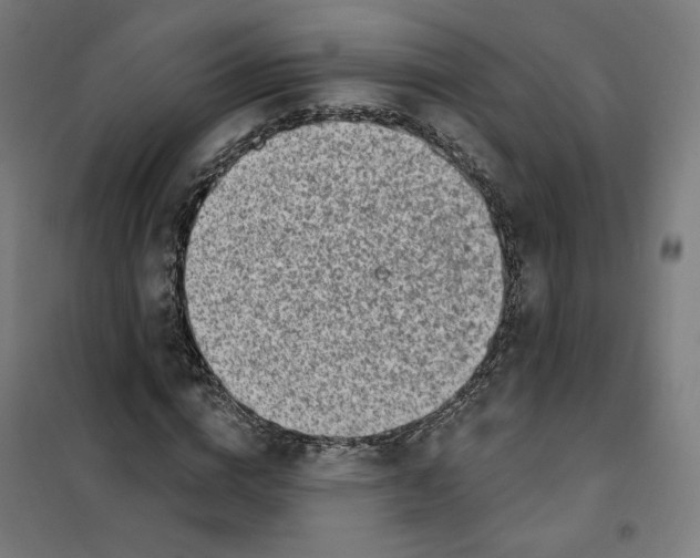 X0000101230824200807251132