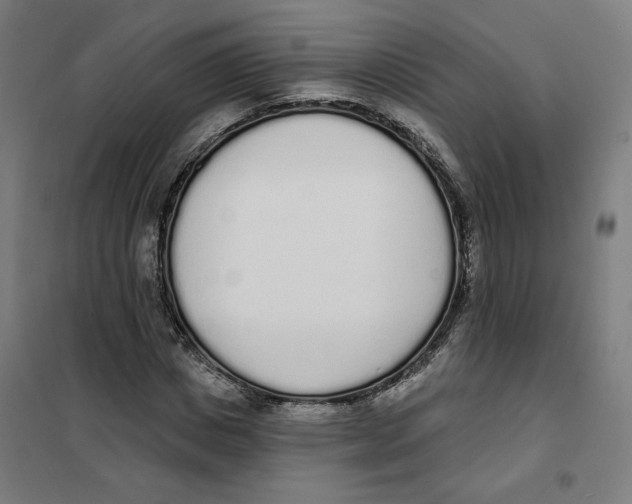 X0000101230825200807251132