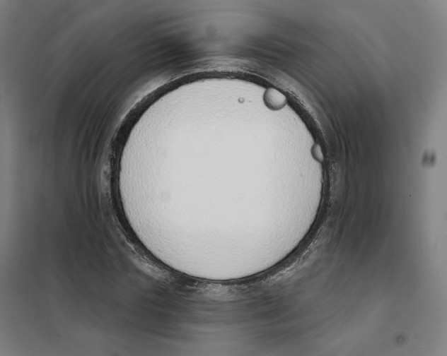 X0000101230827200807251132