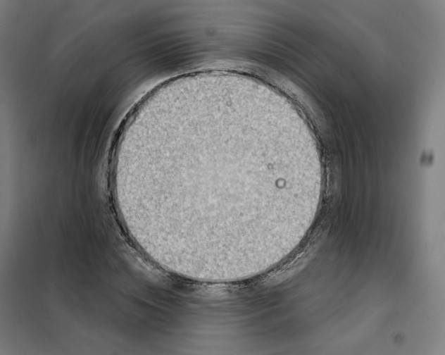 X0000101230828200807251132