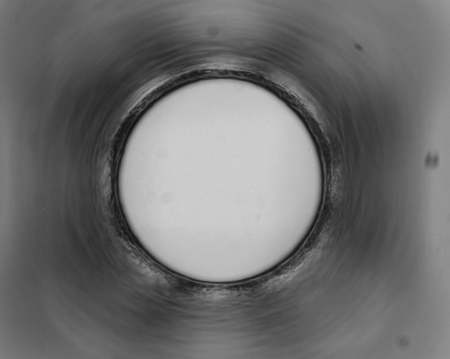 X0000101230829200807251132