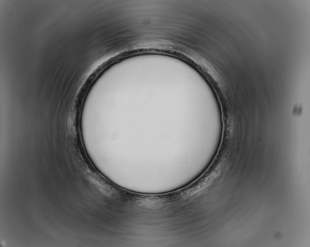 X0000101230830200807251132