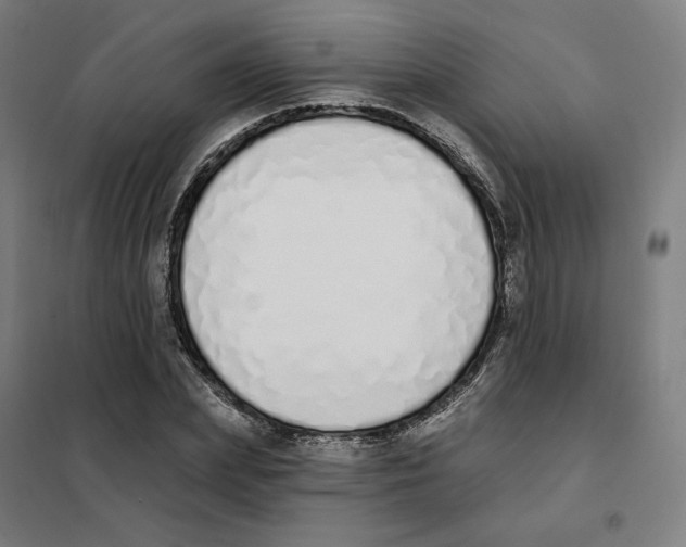 X0000101230831200807251132