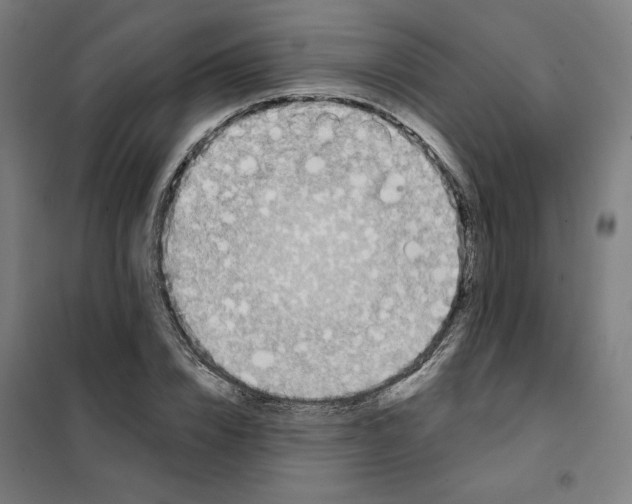 X0000101230832200807251132