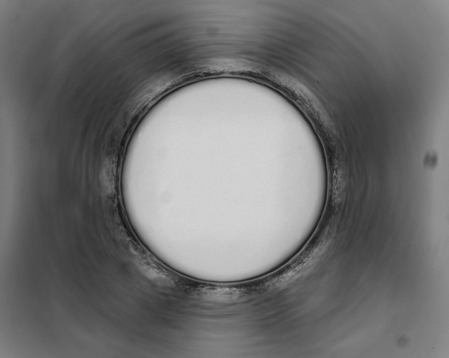 X0000101230833200807251132
